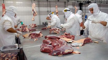 Baten récord de exportación de carne vacuna con marca sin precedentes en 57 años
