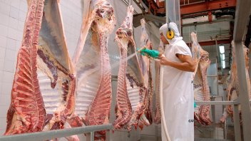 En el primer semestre, las exportaciones de carne vacuna crecieron 6,7%
