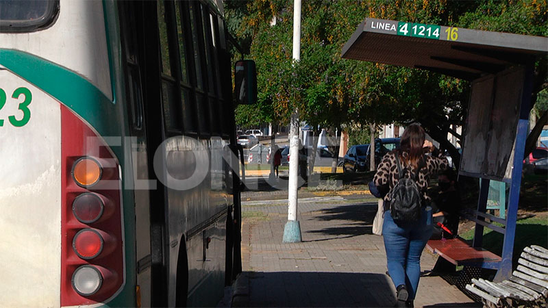 Feriado: Las empresas de transporte público deberán funcionar ...