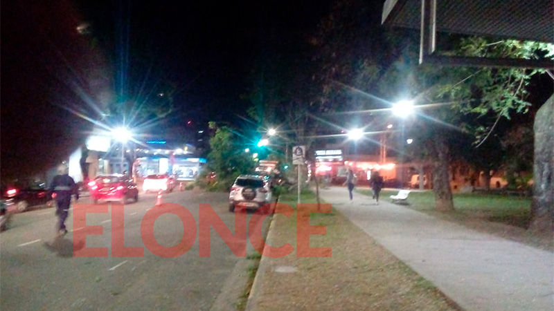 &Aacute;rbol ca&iacute;do en Plaza S&aacute;enz Pe&ntilde;a