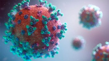 La OMS prevé un escenario donde el coronavirus evolucione pero pierda fuerza