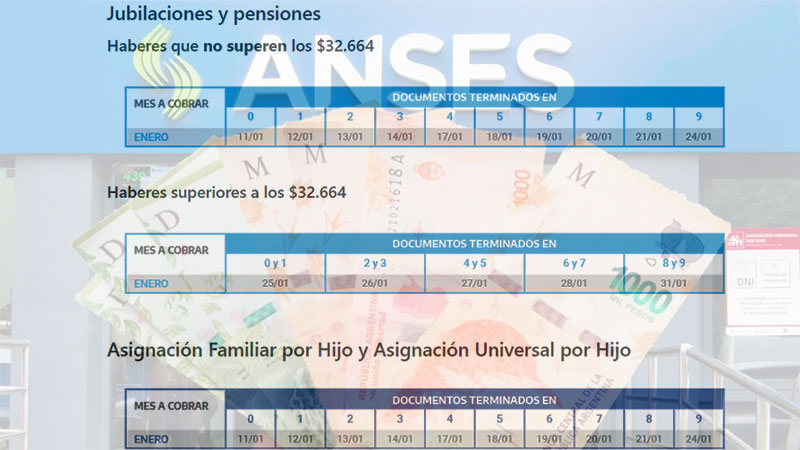 Calendarios De Pagos De Anses Para Enero: Jubilaciones, AUH Y Otros ...