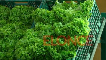 Establecen precios de referencia para frutas y verduras en supermercados de AMBA