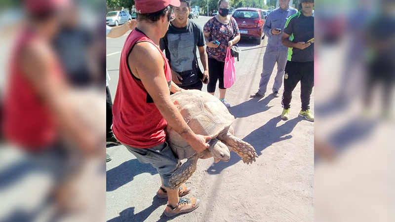 Gentileza Diario San Rafael