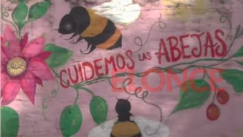 Encuentro latinoamericano en Paraná “para revalorizar las abejas”
