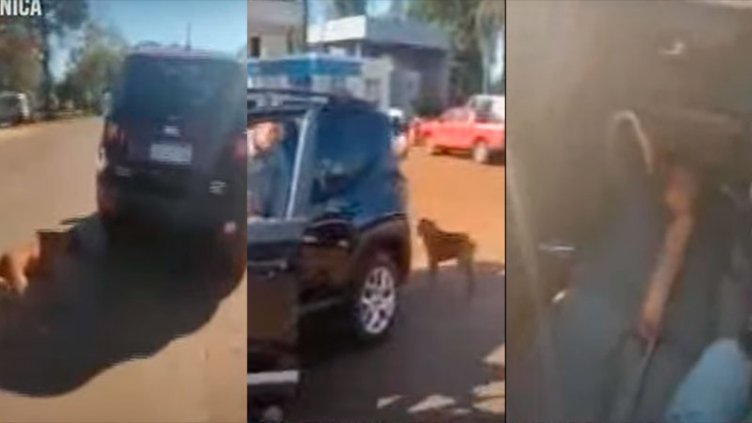 Videos: mujer salvó a un perro que era arrastrado  de un Jeep por su dueño
