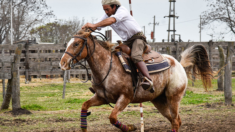 Expectativas por la Expo Rural de Gualeguaychú: “Será para toda la ...