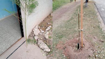 Dañaron juego de una plaza y arrancaron árboles recién plantados en Costanera