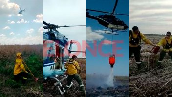 Videos: La valiosa labor de brigadistas que combaten los incendios en el Delta