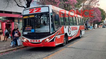 Buses Paraná: son 