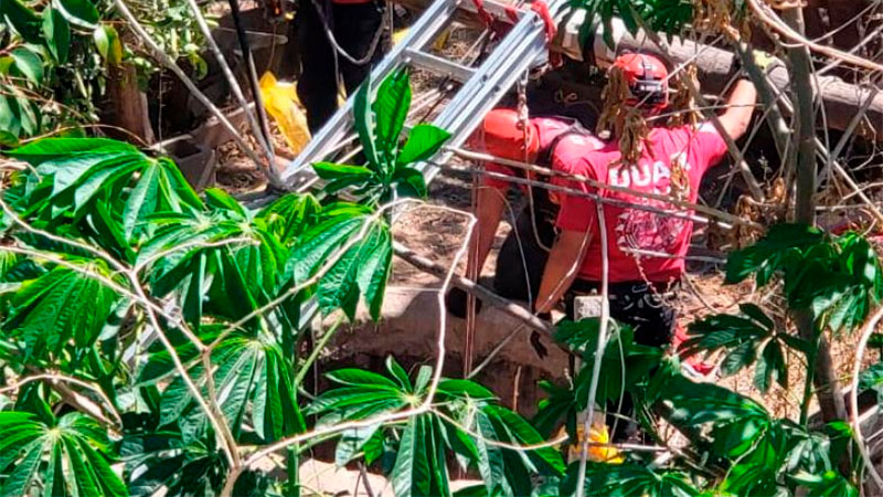 La b&uacute;squeda de las hermanas asesinadas