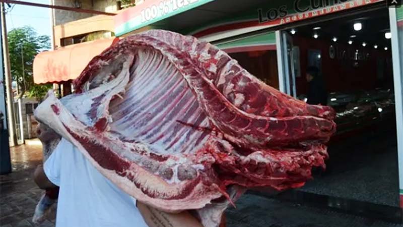 The Government confirms that the cut of the meat has no “return” – Economy