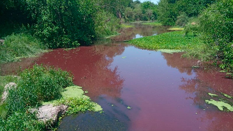 El Arroyo Espinillo Apareció Con Extraña Coloración Roja: Sospechan Que ...