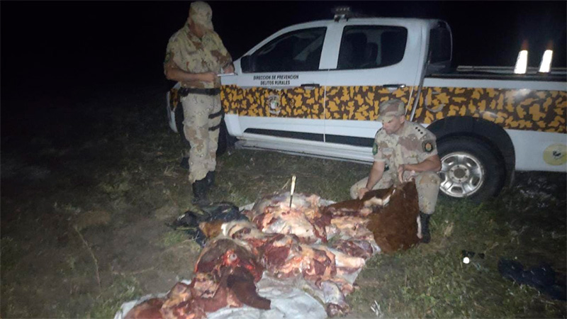 They seized 150 kilos of beef from thieves in a field of Entre Ríos – Police