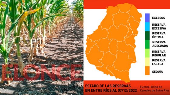 La Mesa de Enlace solicitará que se declare desastre agropecuario en Entre Ríos