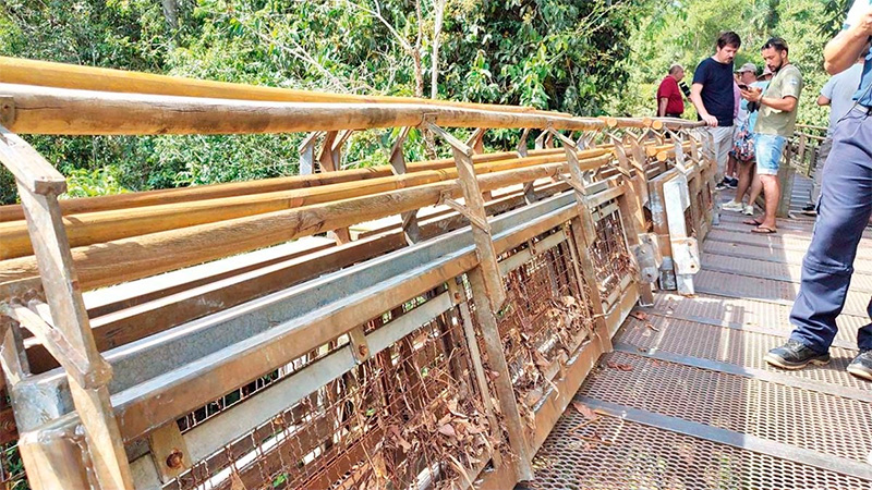 Las estructuras recuperadas muestran haber estado al fondo del r&iacute;o.-