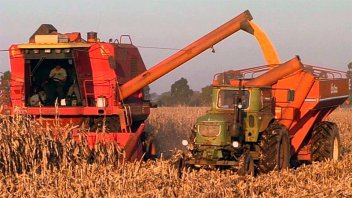 La cosecha de maíz en Argentina fue la más baja en ocho años