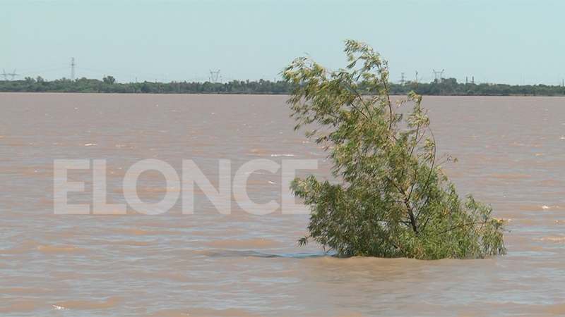 El río Paraná sigue repuntando y podría acercarse al promedio normal de marzo