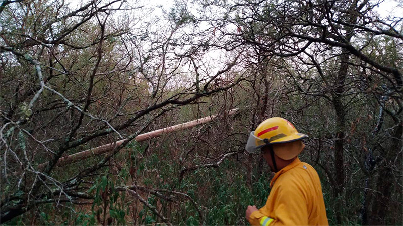 Temporal De Fuertes Vientos Provocó Daños En Una Zona De Entre Ríos ...