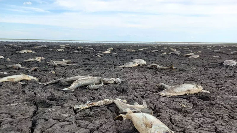 Lagunas se secaron en Corrientes