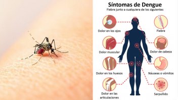 Dengue: Cuáles son los síntomas y cuánto tardan en aparecer