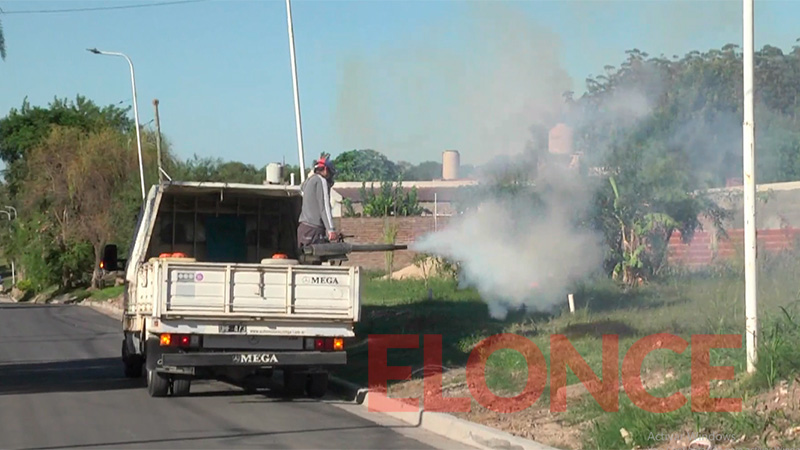 En una semana se duplicaron los casos de dengue en Paraná: se registraron 76