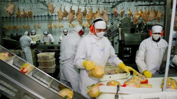 Se retomarán las exportaciones de carne aviar y huevos a Uruguay