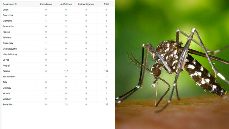 Confirman 135 casos de dengue en Entre Ríos: hay dos pacientes internados