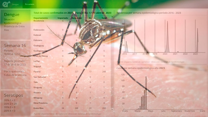 Hay 292 casos de dengue: revelan el horario de mayor circulación del mosquito