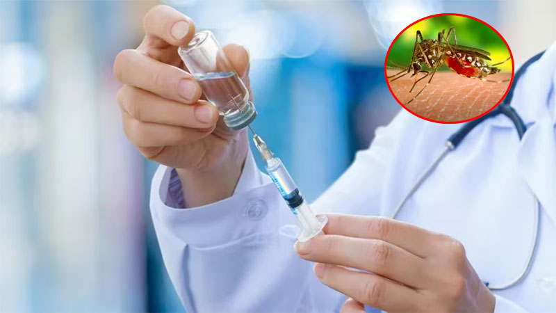 Vacuna contra el dengue: quiénes se la podrán aplicar y cuántas dosis son