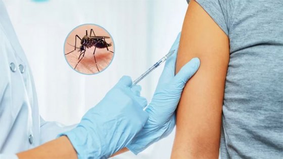 Avanzarán con vacunación contra el dengue: a quiénes aplicarían dosis gratuita