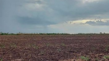 Anticipan evento de lluvias que puede cambiar el escenario de siembra de trigo
