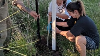 Realizan tareas de reforestación en la zona costera de Colón