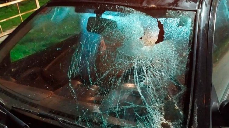 Video: así fue el choque del auto contra un caballo en Viale