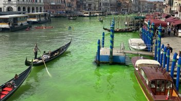 Las aguas del Gran Canal de Venecia aparecieron con un verde fosforescente