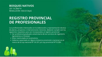 Bosque Nativo: convocan a profesionales a registrarse en formulario electrónico