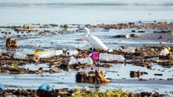Día mundial del Medio Ambiente y el foco en la eliminación del uso de plásticos