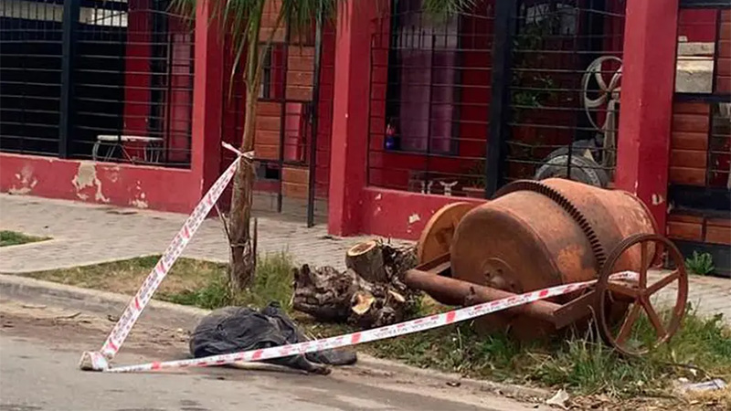 Falleció adolescente tras el ataque de dogos que fueron ultimados por un  vecino