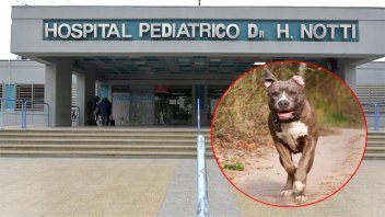Un pitbull le desfiguró la cara de una nena de dos años en Mendoza