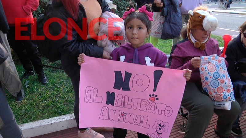 Concentración contra el Maltrato Animal en la explanada del poder ...