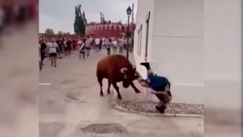 Video: una joven fue embestida por un toro durante una corrida en Madrid