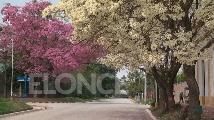 El tiempo mejoró y sube la temperatura: cómo estará durante el fin de semana