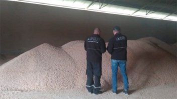 AFIP incautó 640 toneladas de granos valuadas en $50.000.000