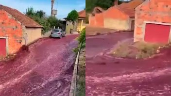 Video: Se rompieron dos tanques de una destilería y se formó un río de vino