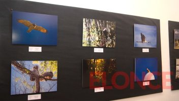 La Asociación de fotógrafos realizó muestra sobre naturaleza y medio ambiente