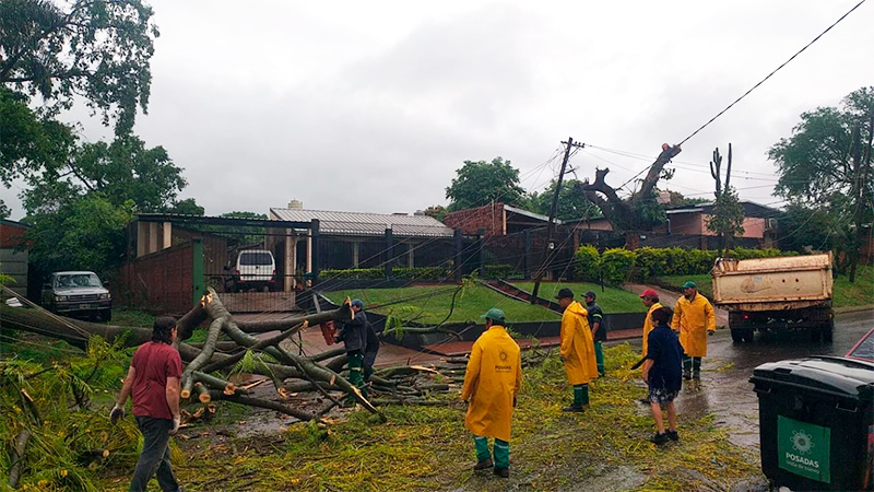 Temporal Con Fuertes Vientos Y Granizo Azotó Misiones: Fotos Y Videos ...