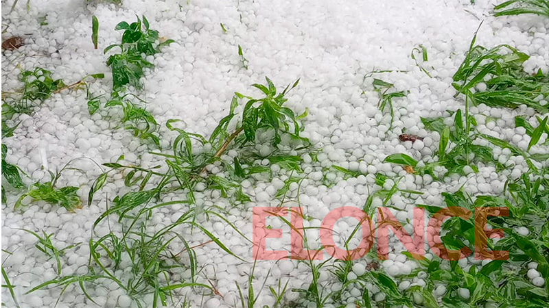 Granizó en otra localidad entrerriana: &ldquo;Fue intenso y bien tupido&rdquo;