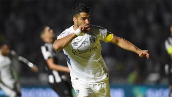 Con triplete de Suárez, Gremio venció a Botafogo y alcanzó la cima de la liga: los goles