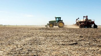 Avanza a paso firme la siembra de maíz y soja en el país