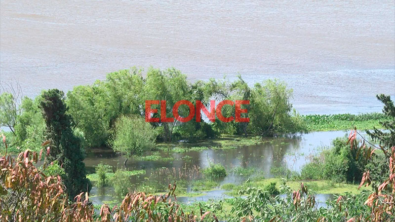 La creciente del río Paraná ya complica las fuentes de trabajo en 